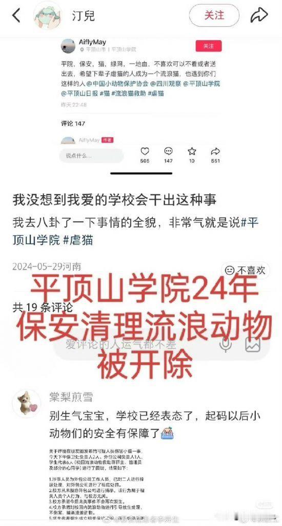 平顶山学院!当年群狗环伺辞退尽责保安，今朝流  1浪猫狗结队返哺校园!