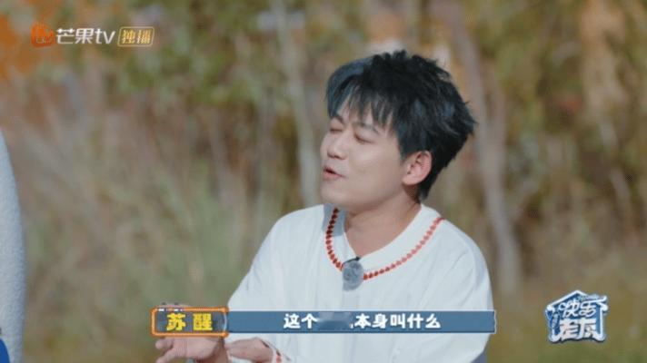 再就业男团动物塑简直细糠快乐老友有风季 再就业男团动物塑细糠满满，猫猫和老虎我都