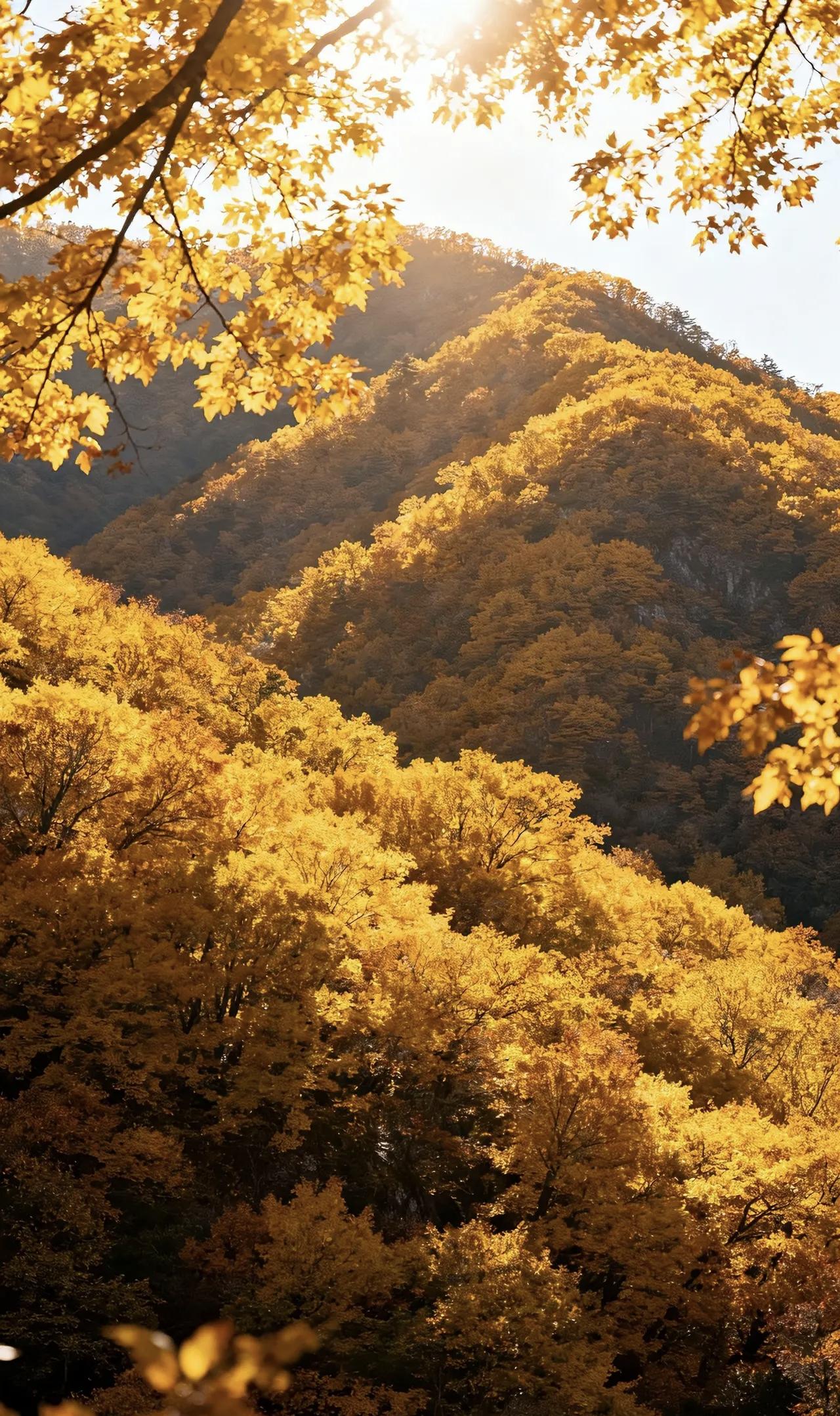 《七律·为官》
作者：转转看到



食禄当思百姓苦，
享俸应知民生难。
忧乐常