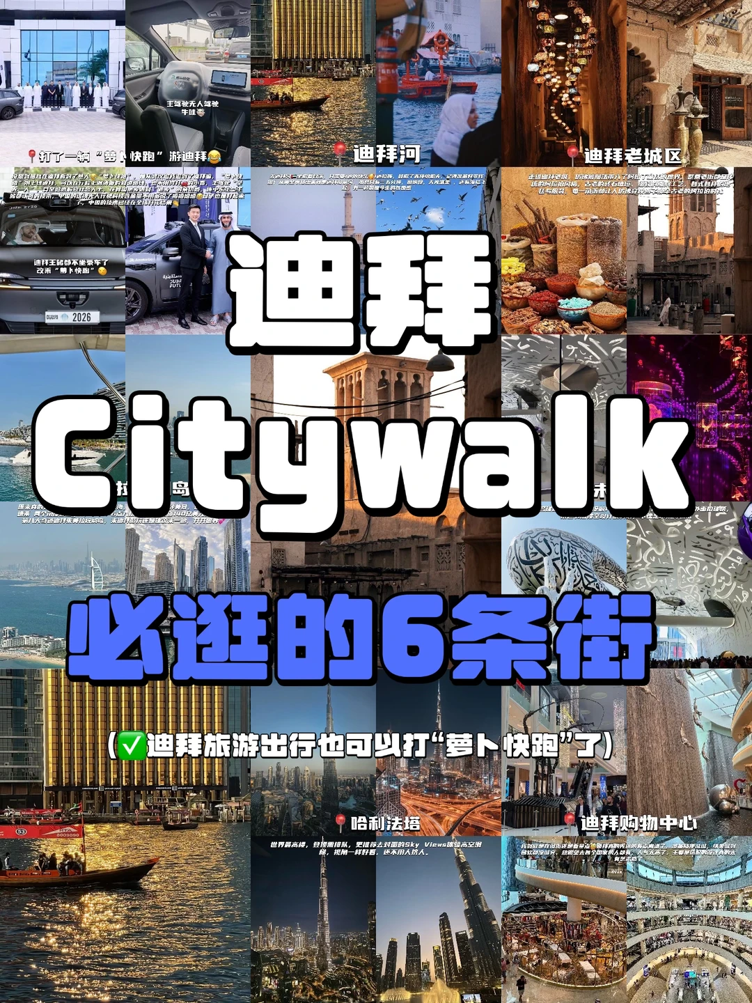 谁能想到，我竟然打了一辆萝卜快跑游迪拜？！