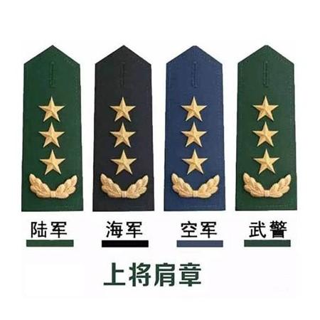 现役上将全名单（截至2026年7月）
中央军委副主席张升民
国防部长董军
东部战