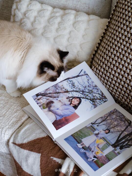 把我和小猫的生活装订成集