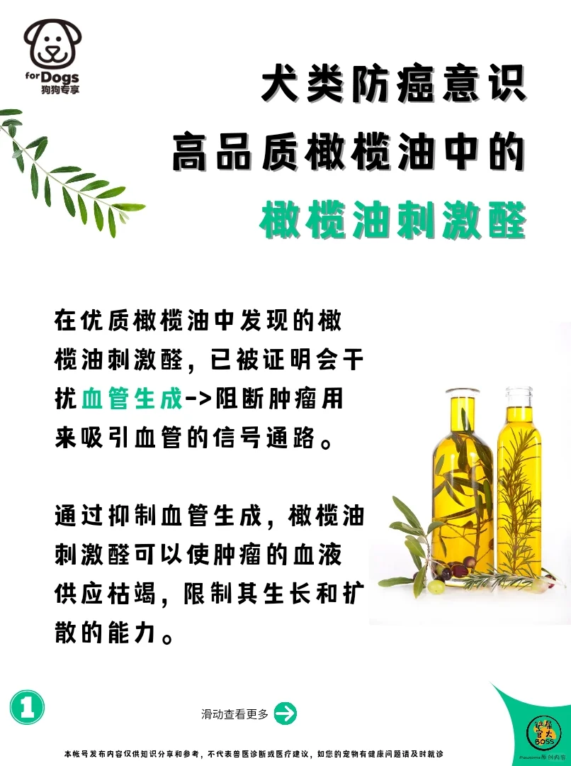 犬类防癌意识-橄榄油刺激醛