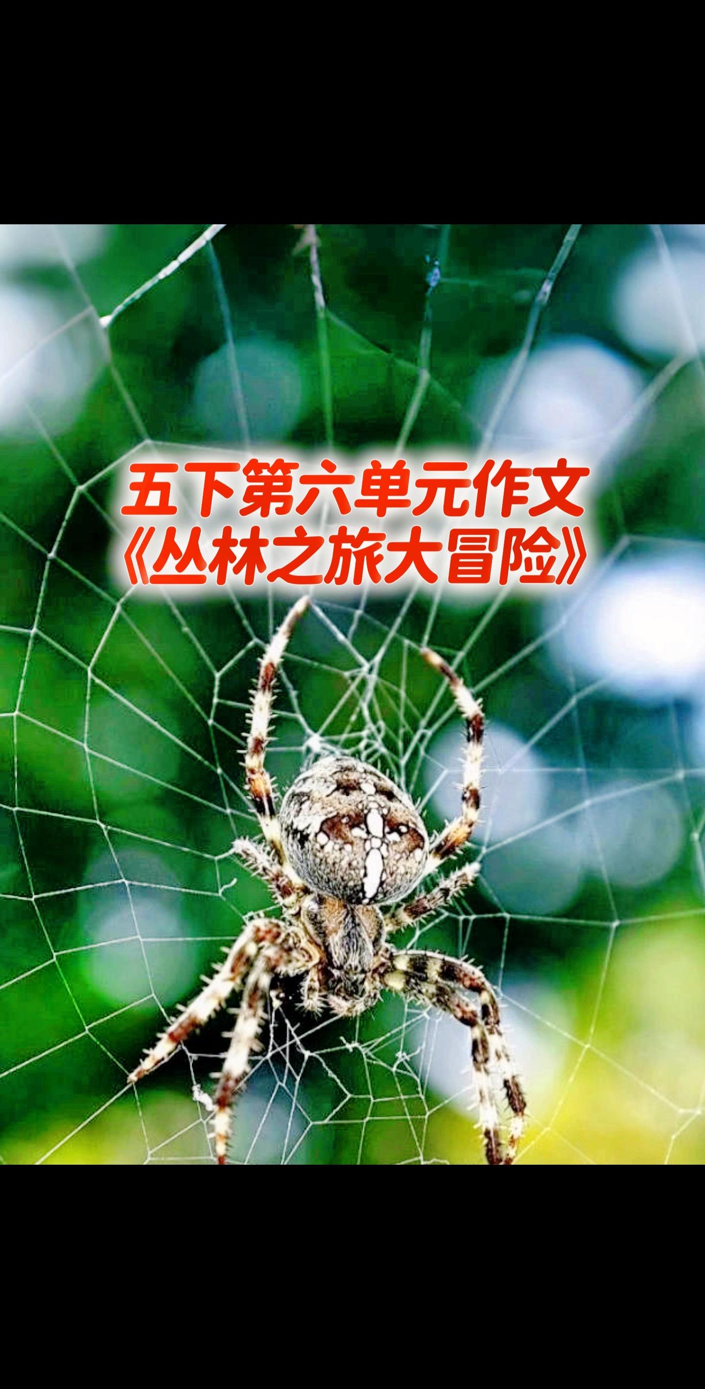 宝妈们，小学五年级下册第六单元作文《丛林之旅大冒险》。
