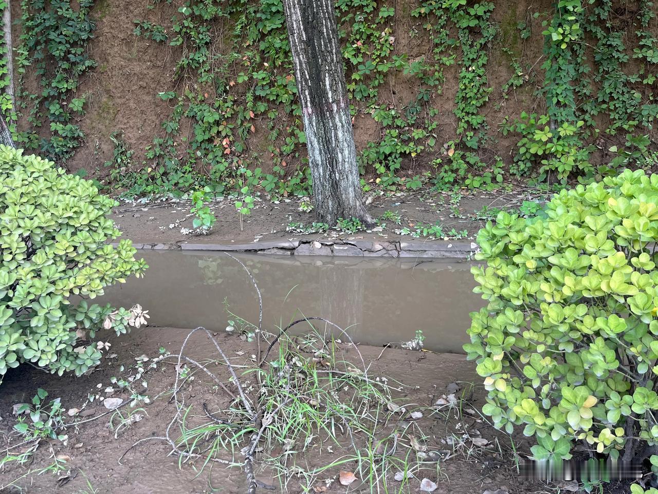 对于城市的基础建设来说，最重要的还不是建设时期而是使用过程中的养护。
像下图是三