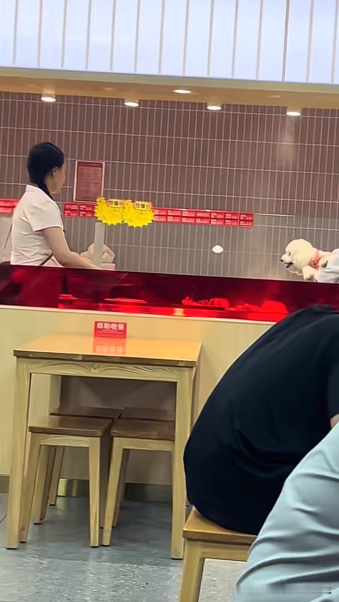 狗进店，被主人抱的老高了，这次轮到山东的超意兴了！这一幕，请问你还有食欲吗？狗主