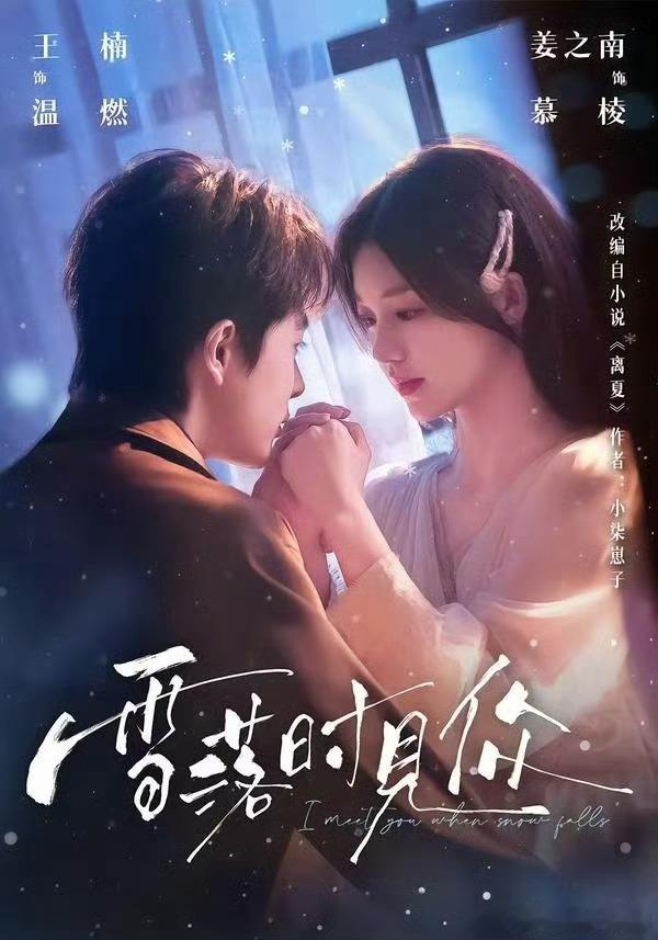 雪落时见你   已更全93集资源王楠&姜之南 