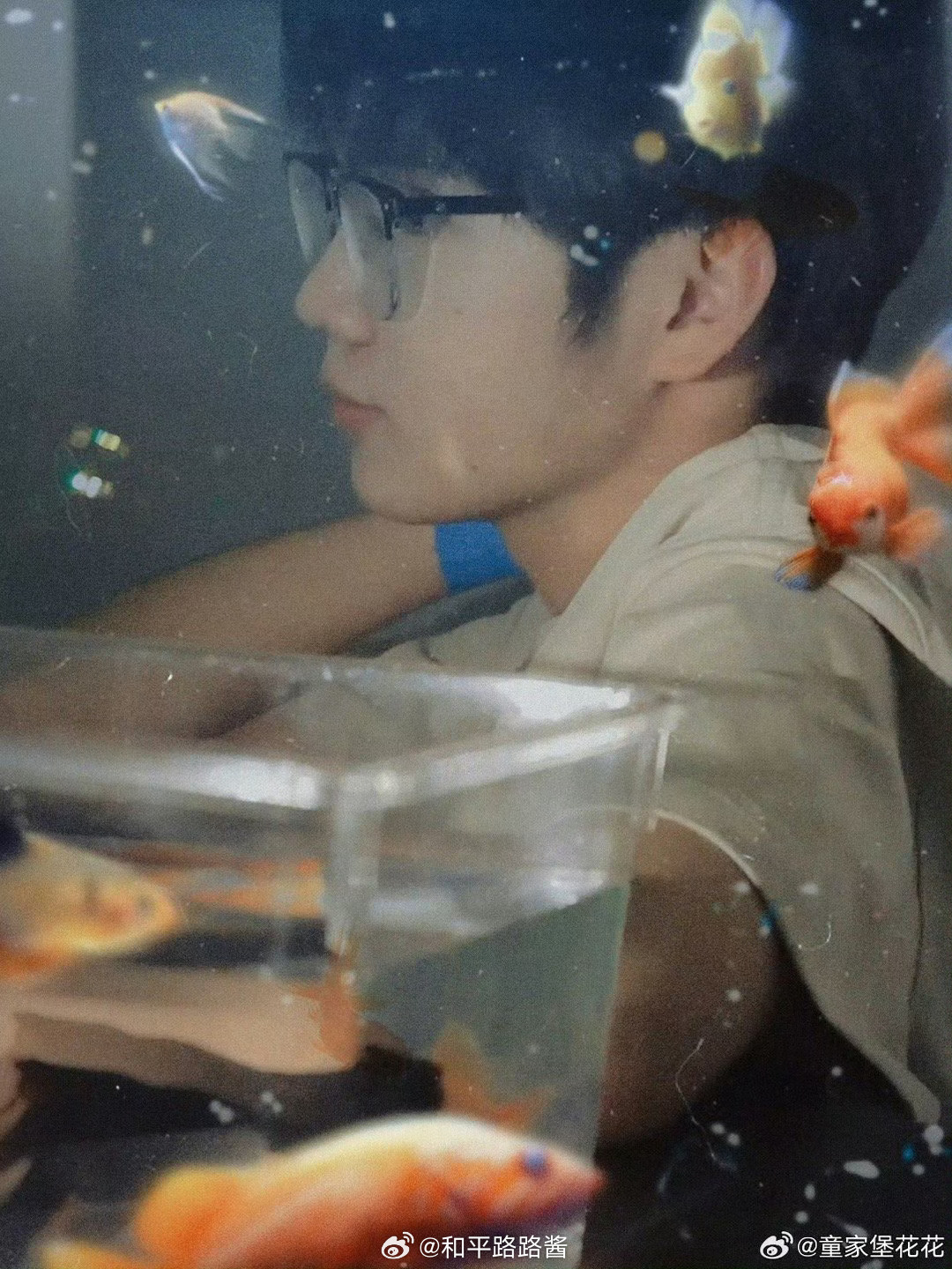 金鱼系列就是最（  ）的2026pel春季赛2026pel