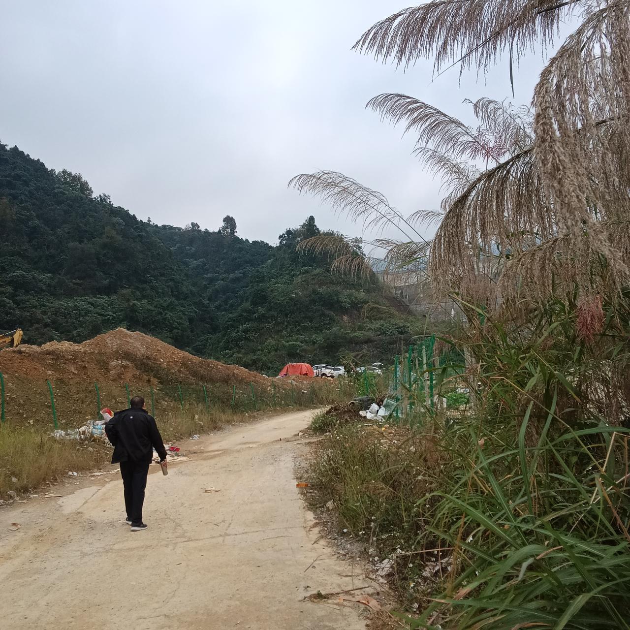 女儿尽孝为父母
购买巴马养生房！

今天我们去登山，尽管阴天，但一路上的风景很美