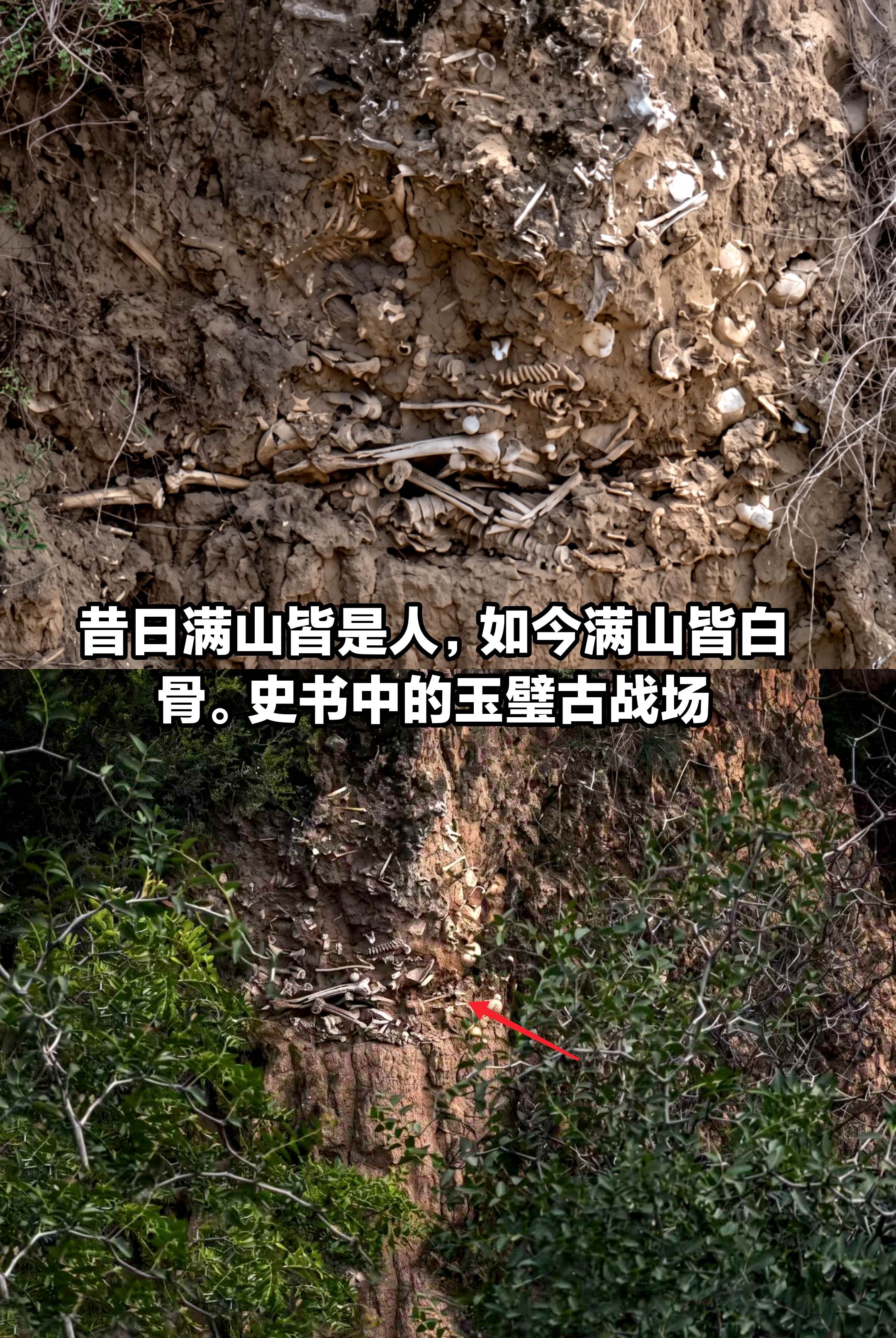 昔日满山皆是人，如今满山皆白骨。
