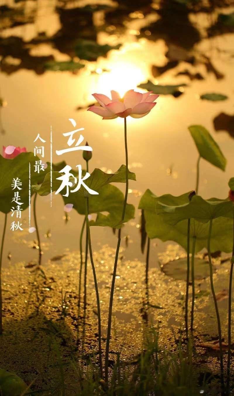 今日立秋，暑气虽仍未尽，但金气已生。前两个月，火势当令，火炎土燥，耗身耗神，忌火
