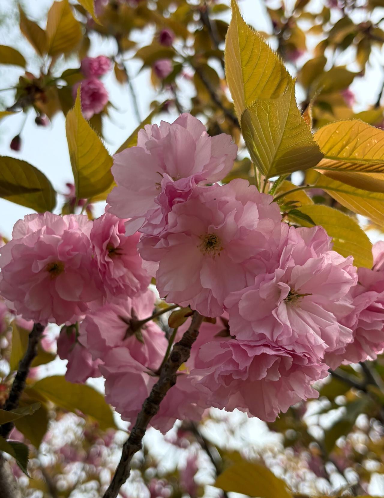 人到了一定的年龄，越来越明白许多事情。

不管是男人，还是女人，只要他总在你面前