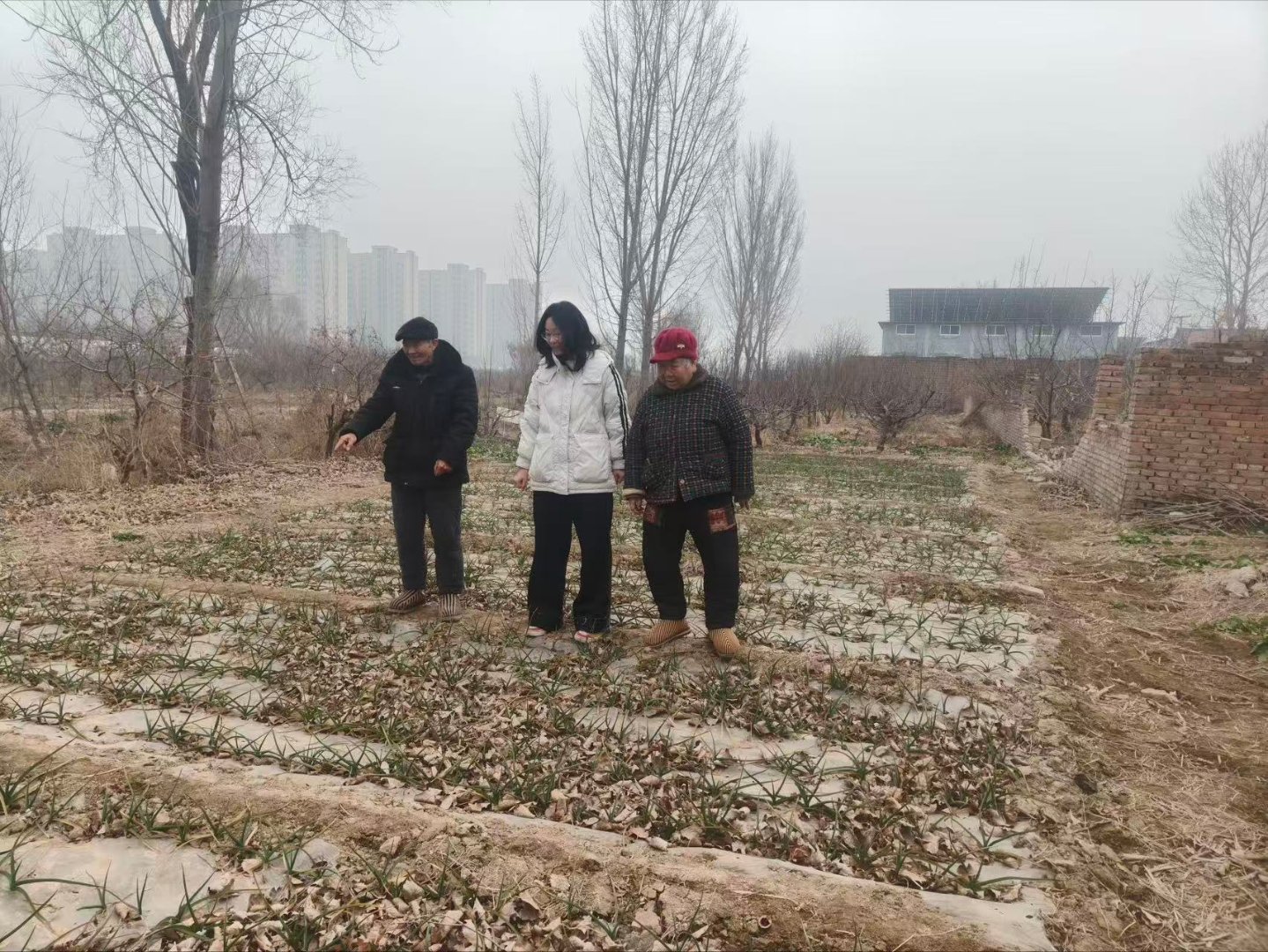 秦岭笑谈 【曲阜师范大学学子调研科技伦理嵌入农业现代化：为智慧农业立“规矩”的曲