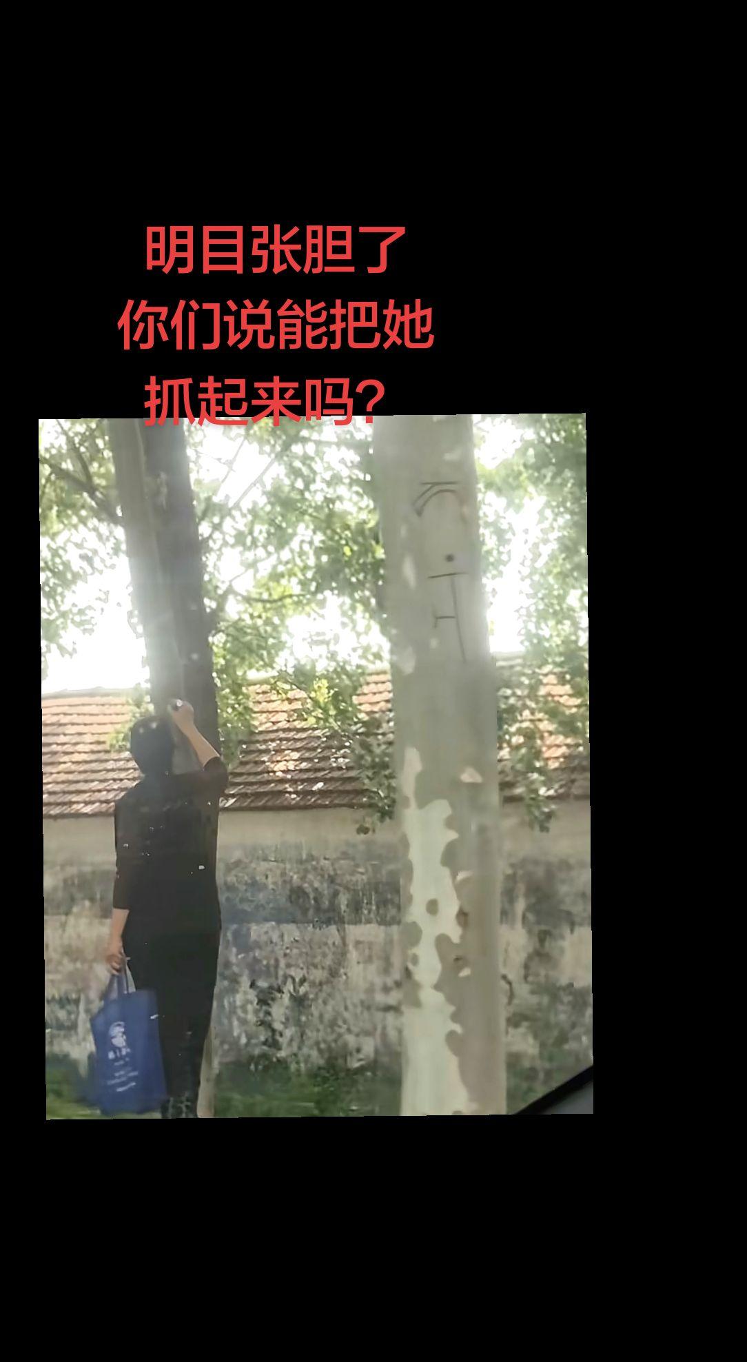上热门 暗号 符号 原创视频 不可思议