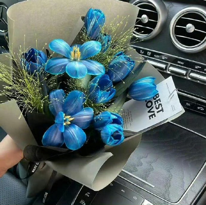 🎐 目标不再是每天都过的快乐，而是能平静的和自己的情绪共处 