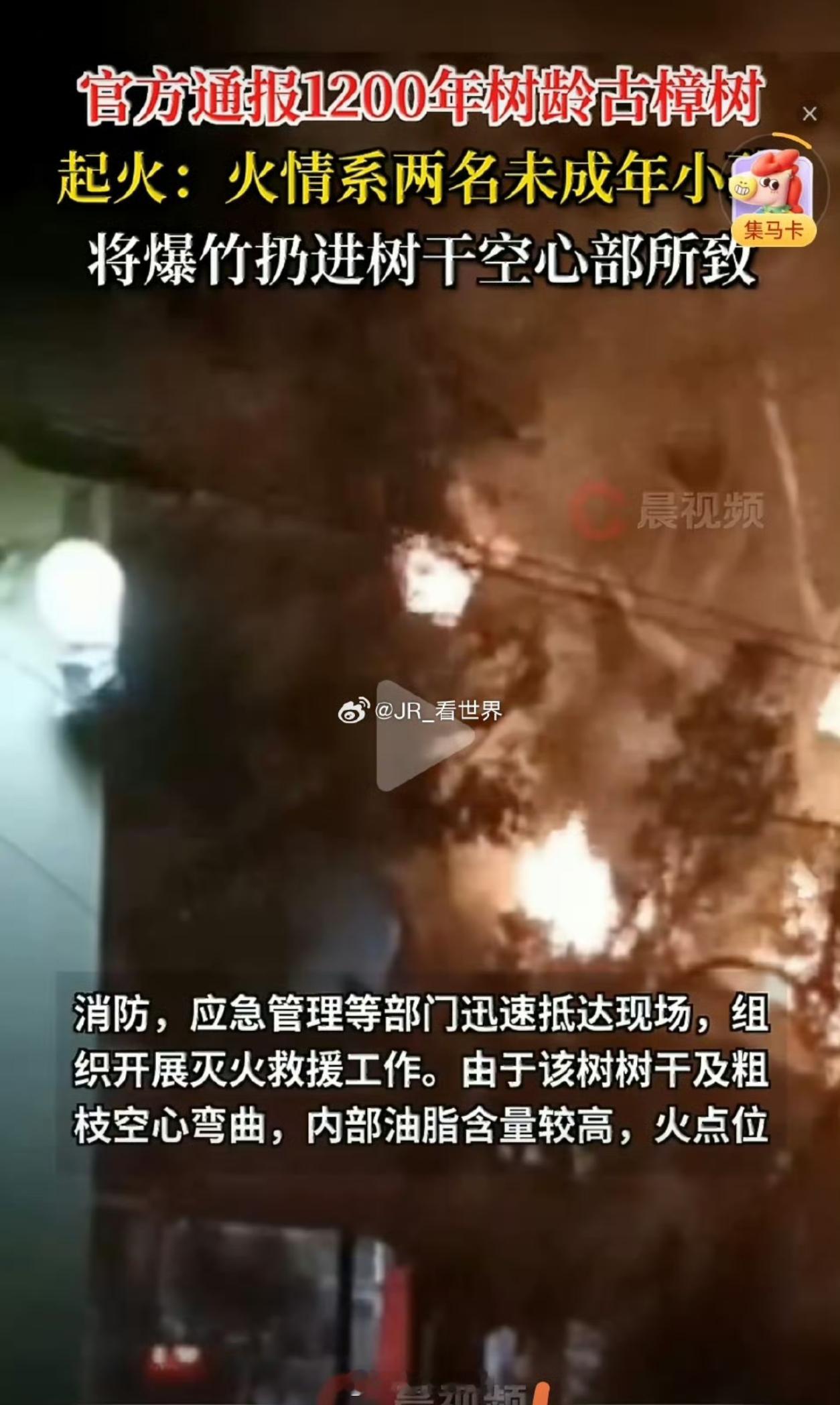 两名小孩扔爆竹致1200年古树起火他们还是孩子，千万不要放过他。不好好惩罚，长大