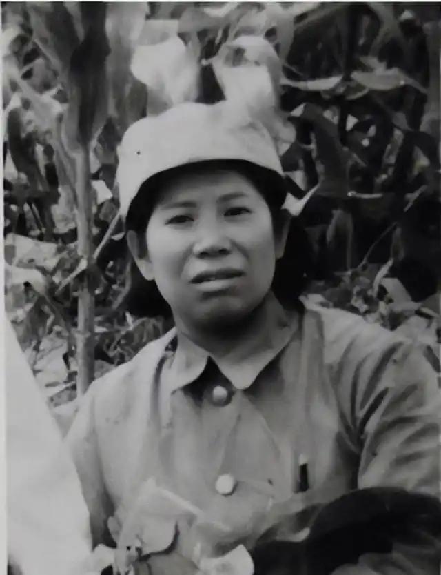 1939年，被捕入狱的女战士在给鬼子洗衣服时，发现了丈夫的衣服，她瞬间明白原来自