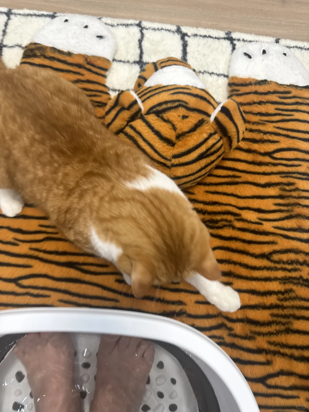 我好紧张 我泡脚 他咬我脚趾头