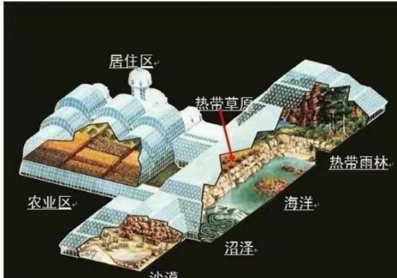 1991年，美国特意做了一个轰动全球的实验，把4男4女关在一起两年，再次打开房门