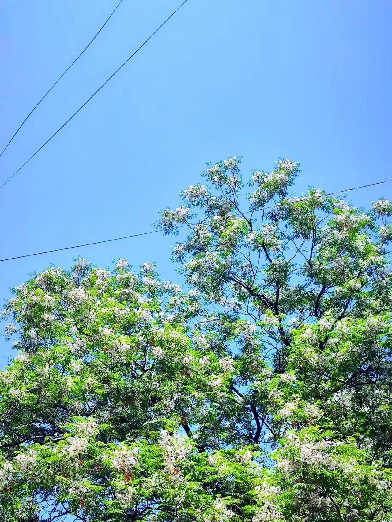 头疼……消化不了的情绪最终都是身体在买单情绪 心情不好的时候不要打扰任何人