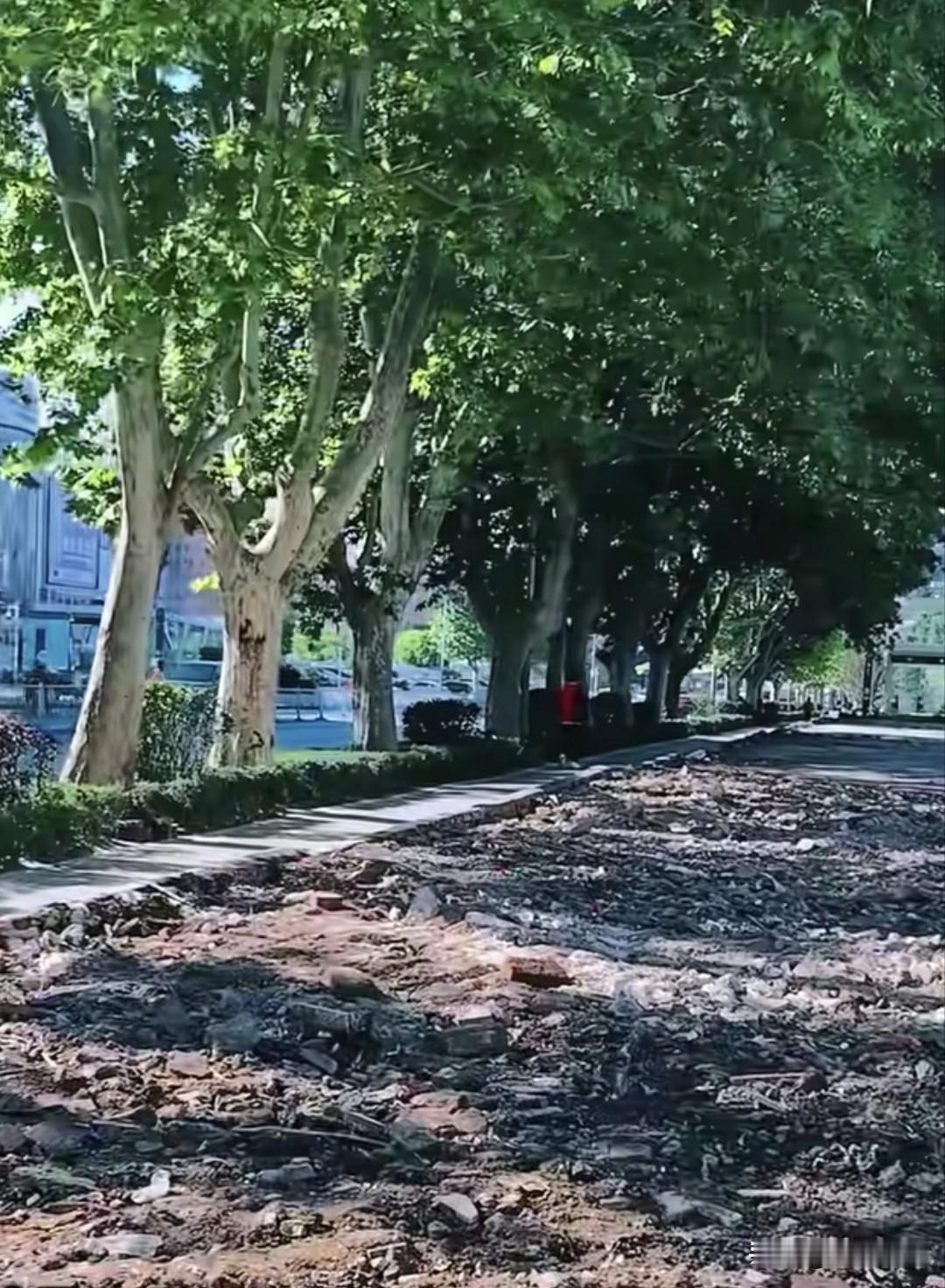 圆梦！大连桃源街20多年围挡拆了，老街瞬间通透敞亮！
大连桃源街地铁旁围了20多