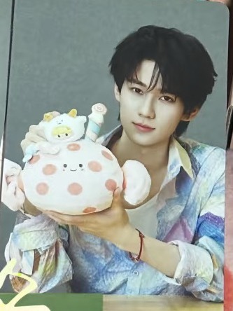 小粉和花衬衫，我喜欢这两个妆造！张真源2026idoll生日周边卡面张真源密室大