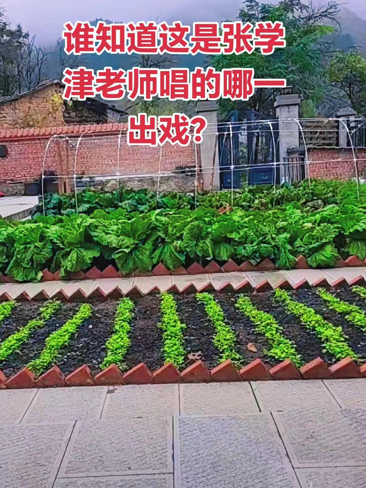 谁知道这是张学津老师唱的哪一出戏？京剧国粹