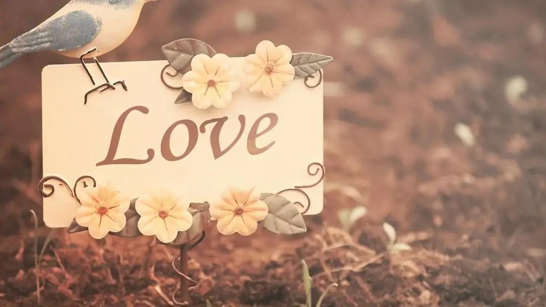 每年年会，我总会脱离自己的组织，和我的蜜友们坐在一起。这种带着叛逆意味的奔赴，像