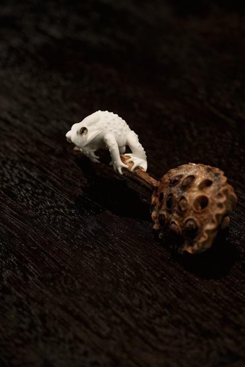 案头偶得一枝荷。

莲蓬已褪去盛放时的热烈，只余岁月沉淀后的朴拙与宁静。一只小蛙