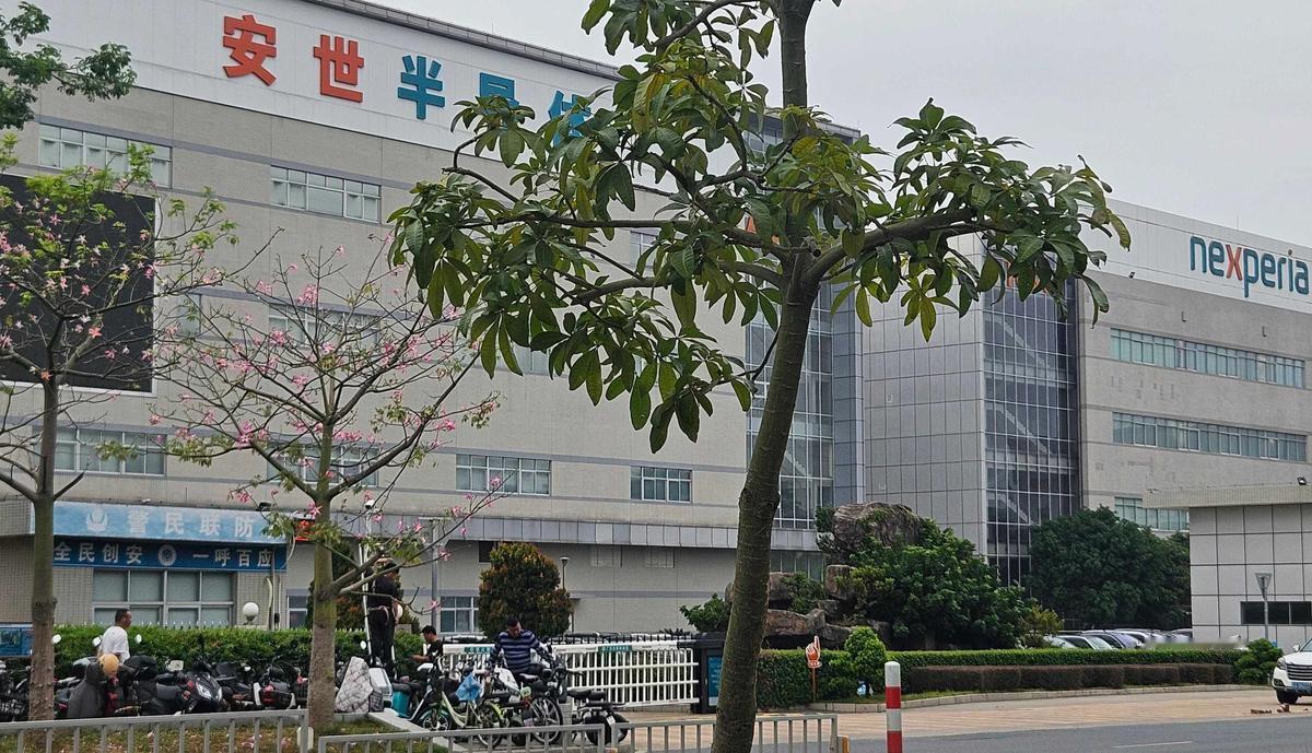 荷兰“认输”归还安世还不够，必须严惩荷兰安世高层

安世半导体事件最近又有新进展