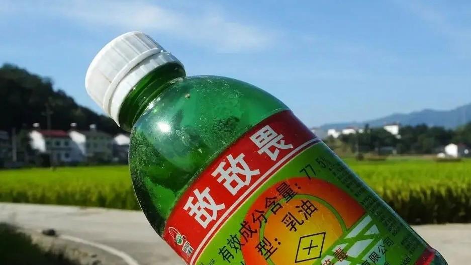 去连锁餐厅吃饭，你可能想不到，后厨灭蟑螂用的居然是敌敌畏。
事情是媒体暗访捅出来