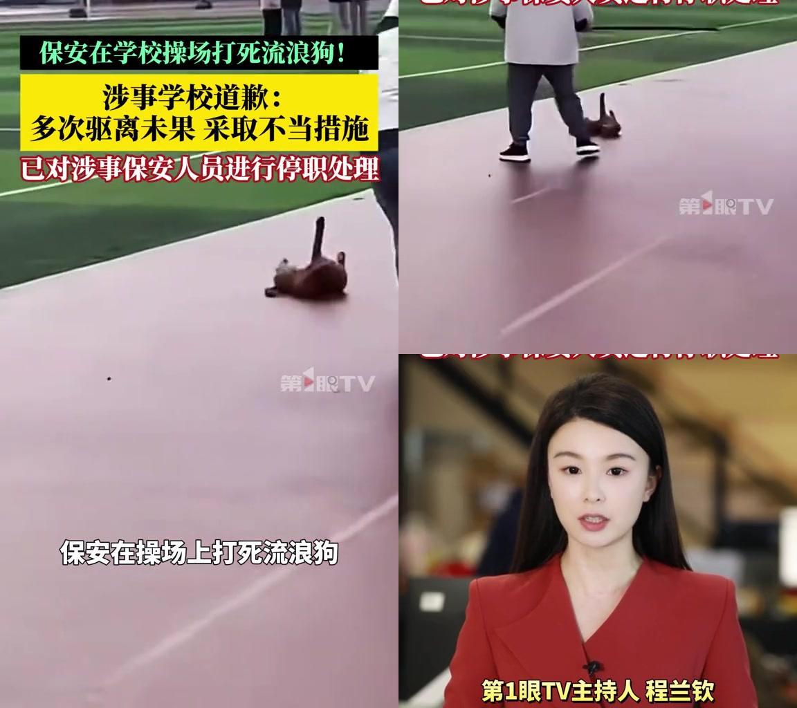 保安护学生打死流浪狗，转头自己被停职？

四川贸易学校一编外保安，课间操时碰