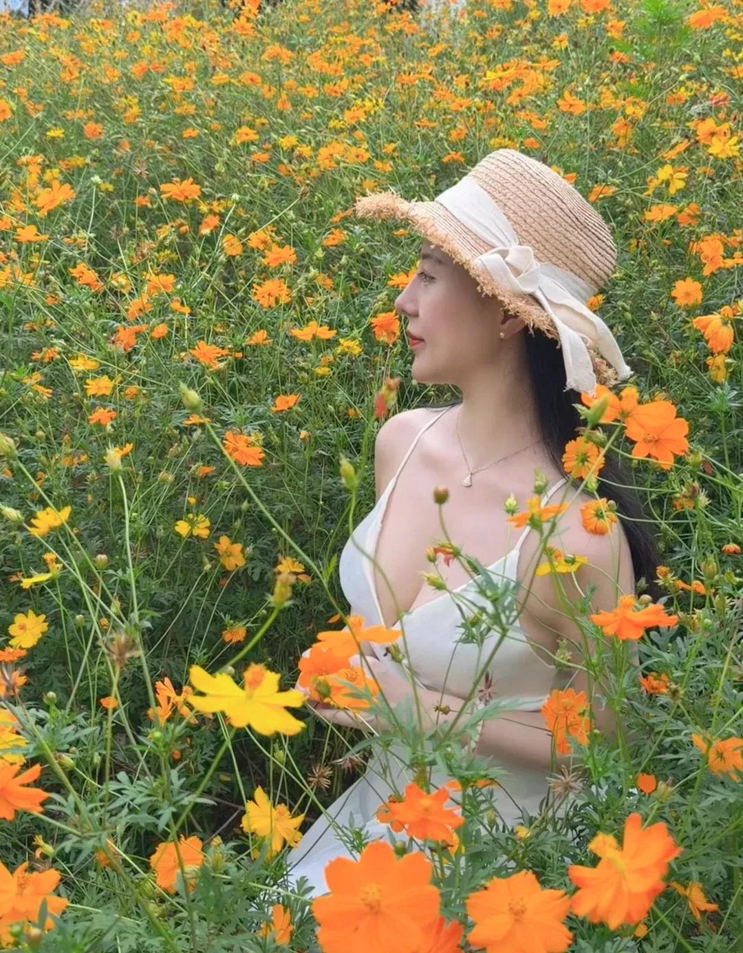 如果她追你，能成的把握有多少