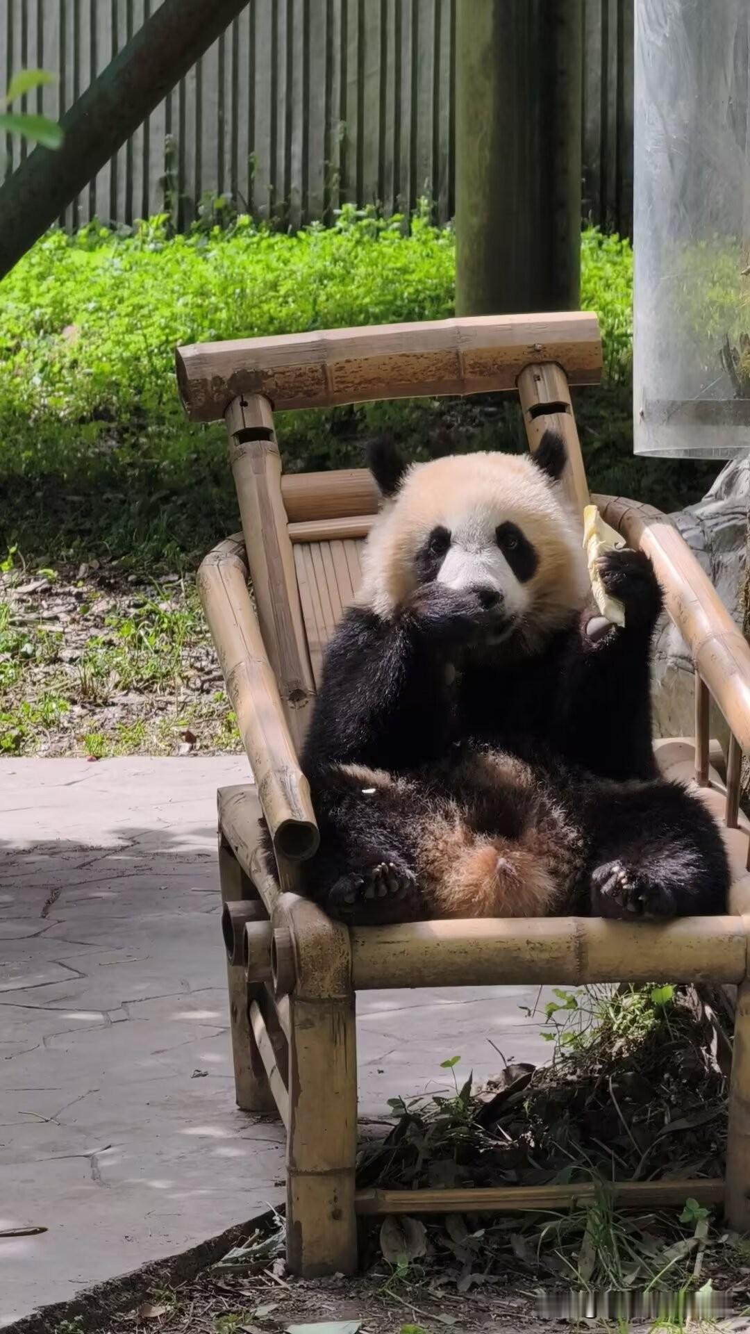 屁股紧绷，腿抬不起来，平躺两天好转

我就这么交替的发病好转再发病[呲牙]

其