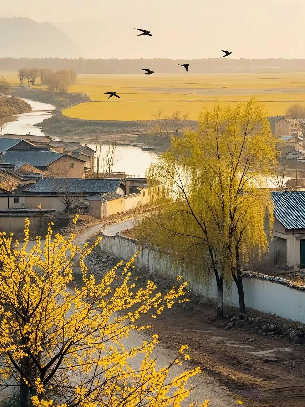 告诉你一个秘密，今日立春，你的所有劫难都将成为过去。既然看到了，请写下：春天，是