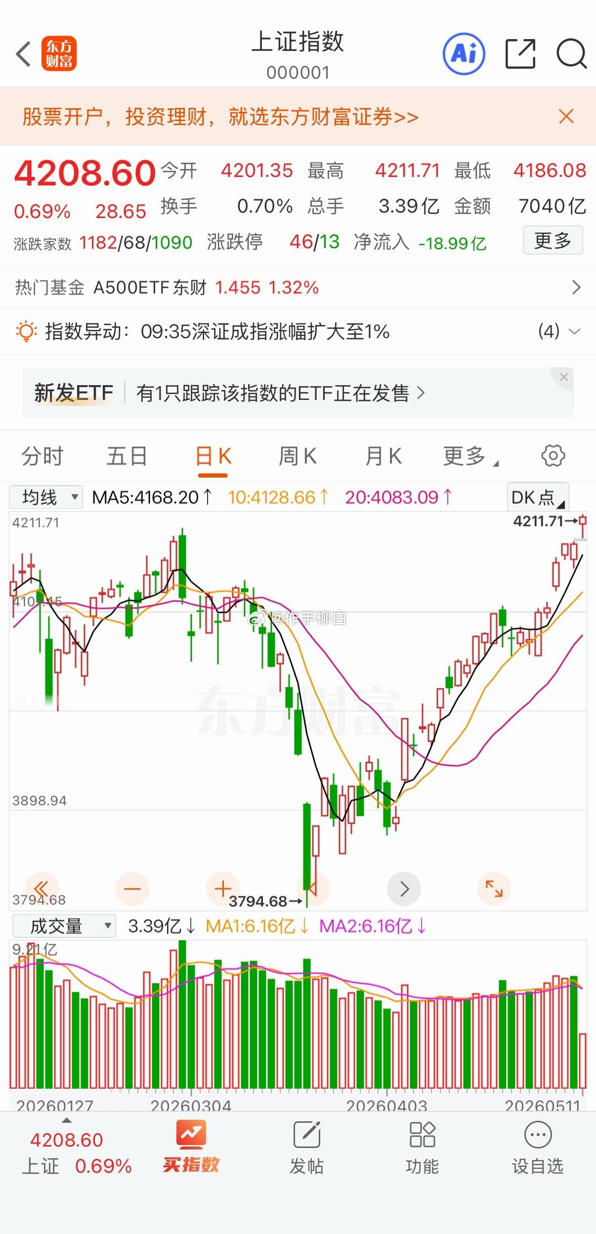 指数创十年新高 