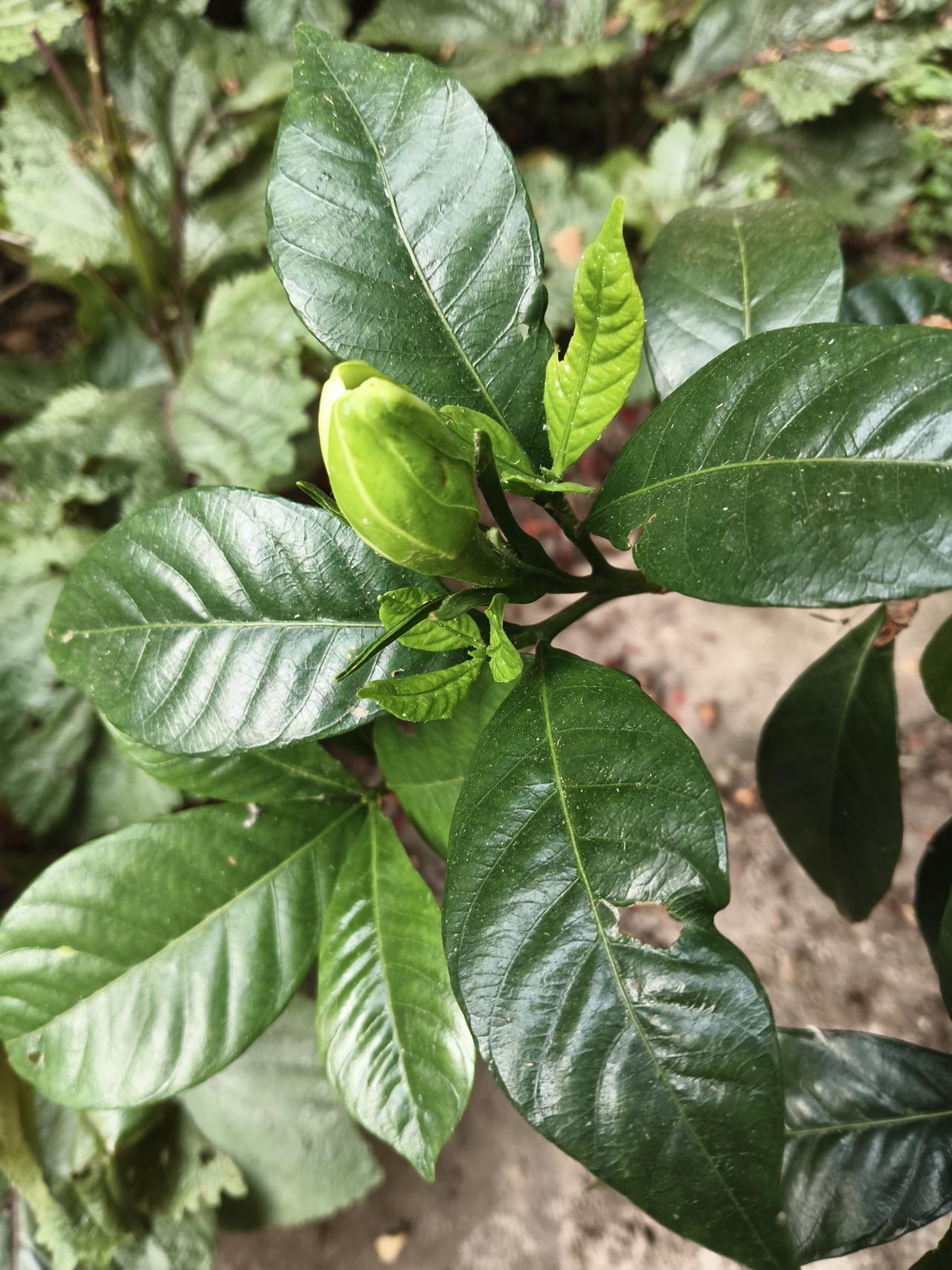 真心话茶局昨天突然特别难受，应该是吃的东西有问题吧？冰箱里东西不能放的时间太长了