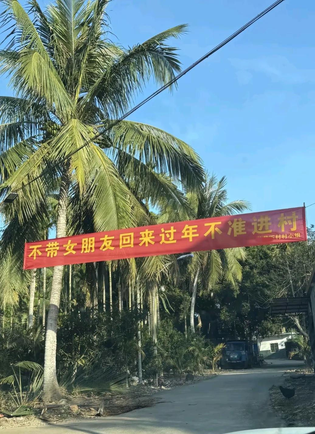 好狠，[憨笑]过年不带女朋友，还能进村吗？你们那能回去吗……