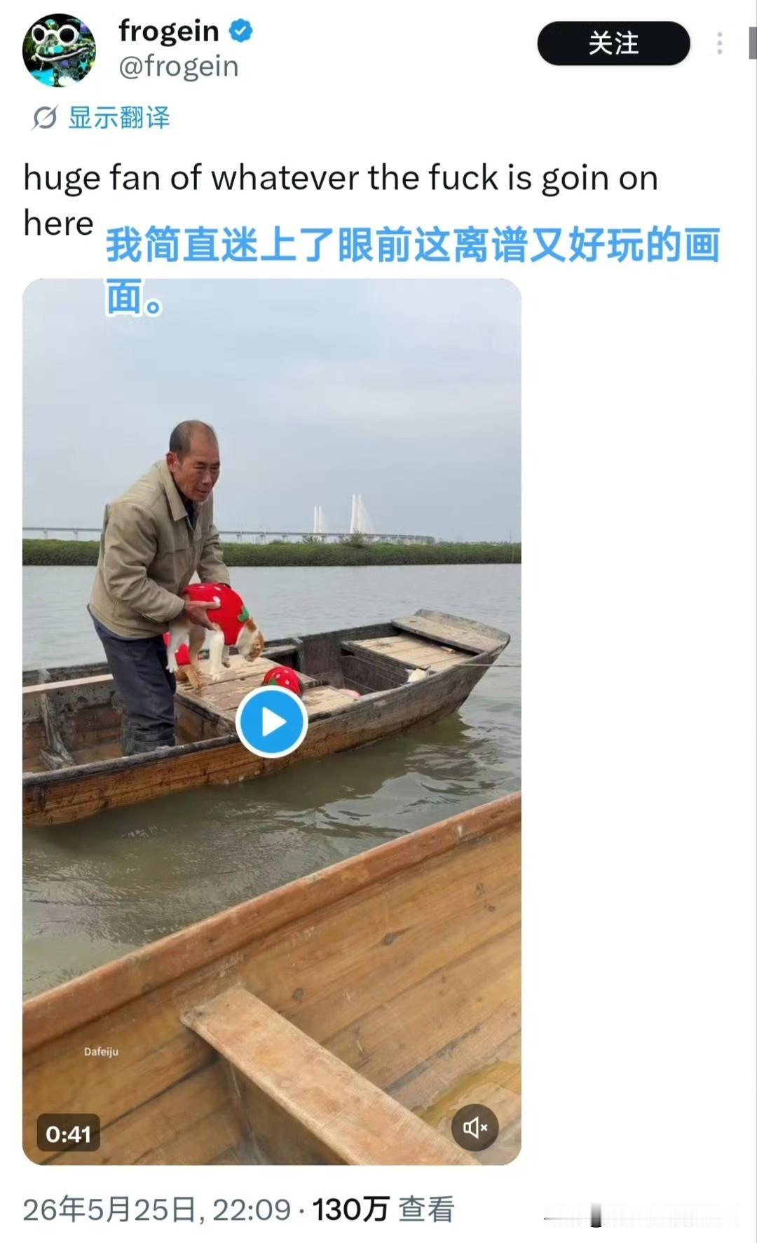 国外网友发帖，中国大爷带猫咪一起捕鱼的视频引起其他各国网友围观热议