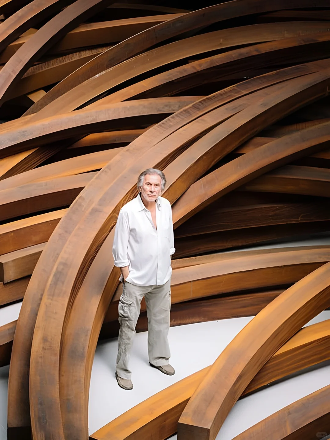 艺术家分享丨Bernar Venet💫