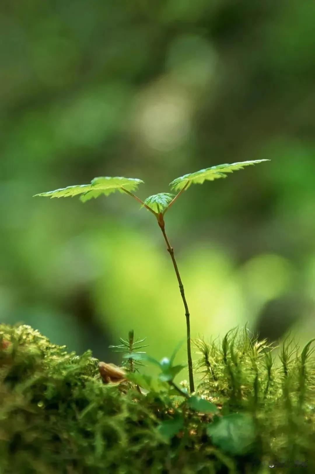 给妈妈念《地藏经》超度七七四十九天之后，今天暂且调整一下状态，洗衣服收拾家务，给