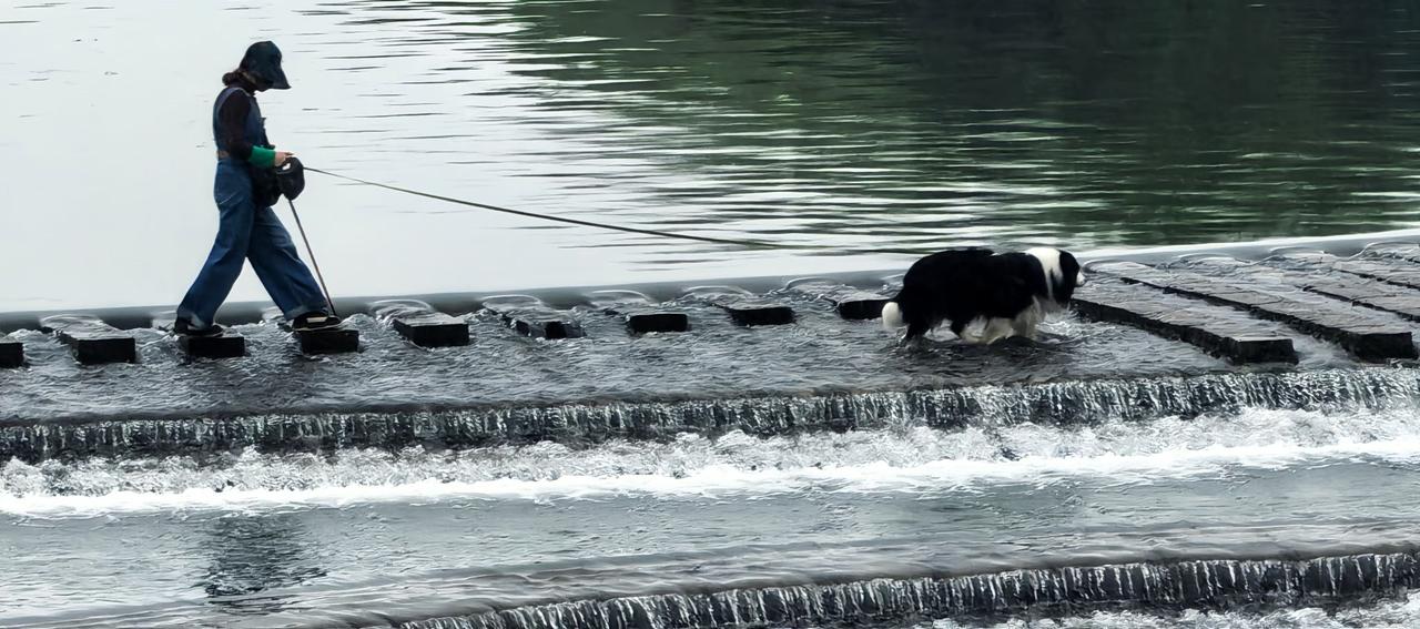 （手机随拍）
骑车遇到雨天，在桥上拍几张……
