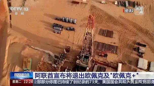 作为欧佩克第三大产油国阿联酋突然挑这个时候宣布退出欧佩克，是真心想退出？还是另有