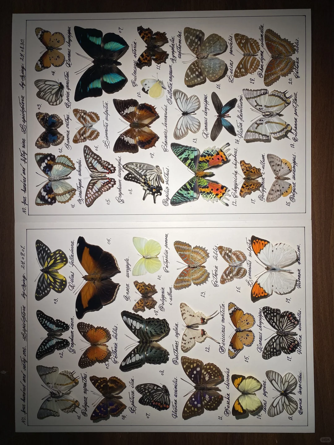 是不是横的照片竖着发比较好