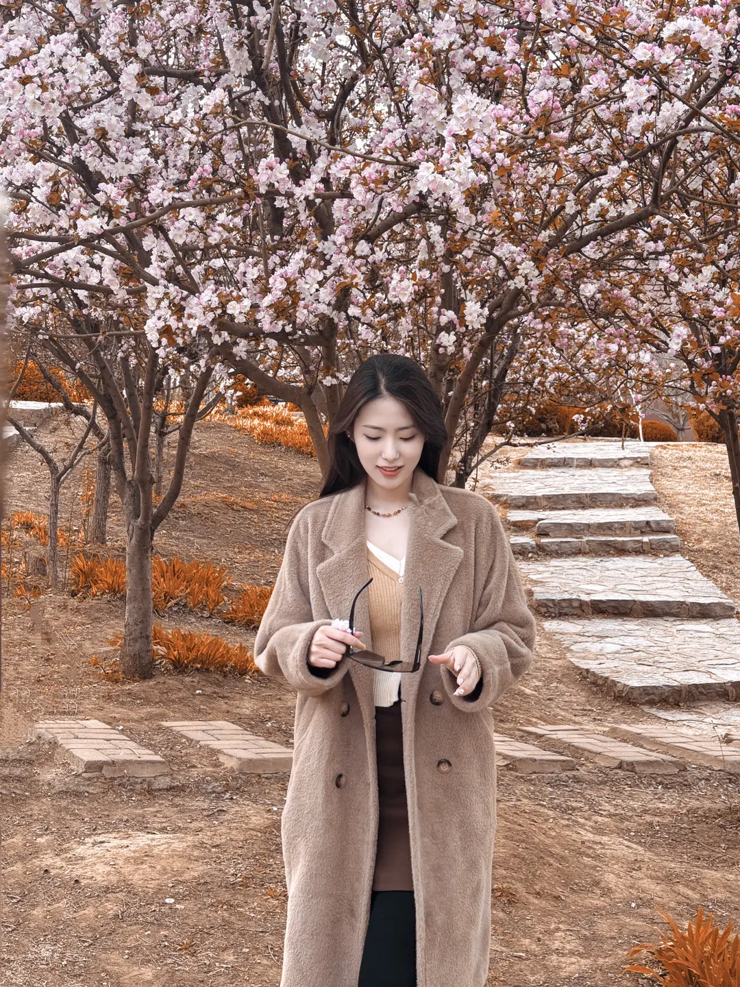 城北的花开了几个冬夏，城南的你还好吗？
