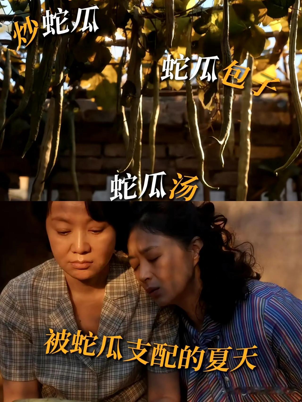 看《小巷人家》才知道蛇瓜这个菜，产量真的很高吗？味道怎么样？[捂脸]

玲姐为了