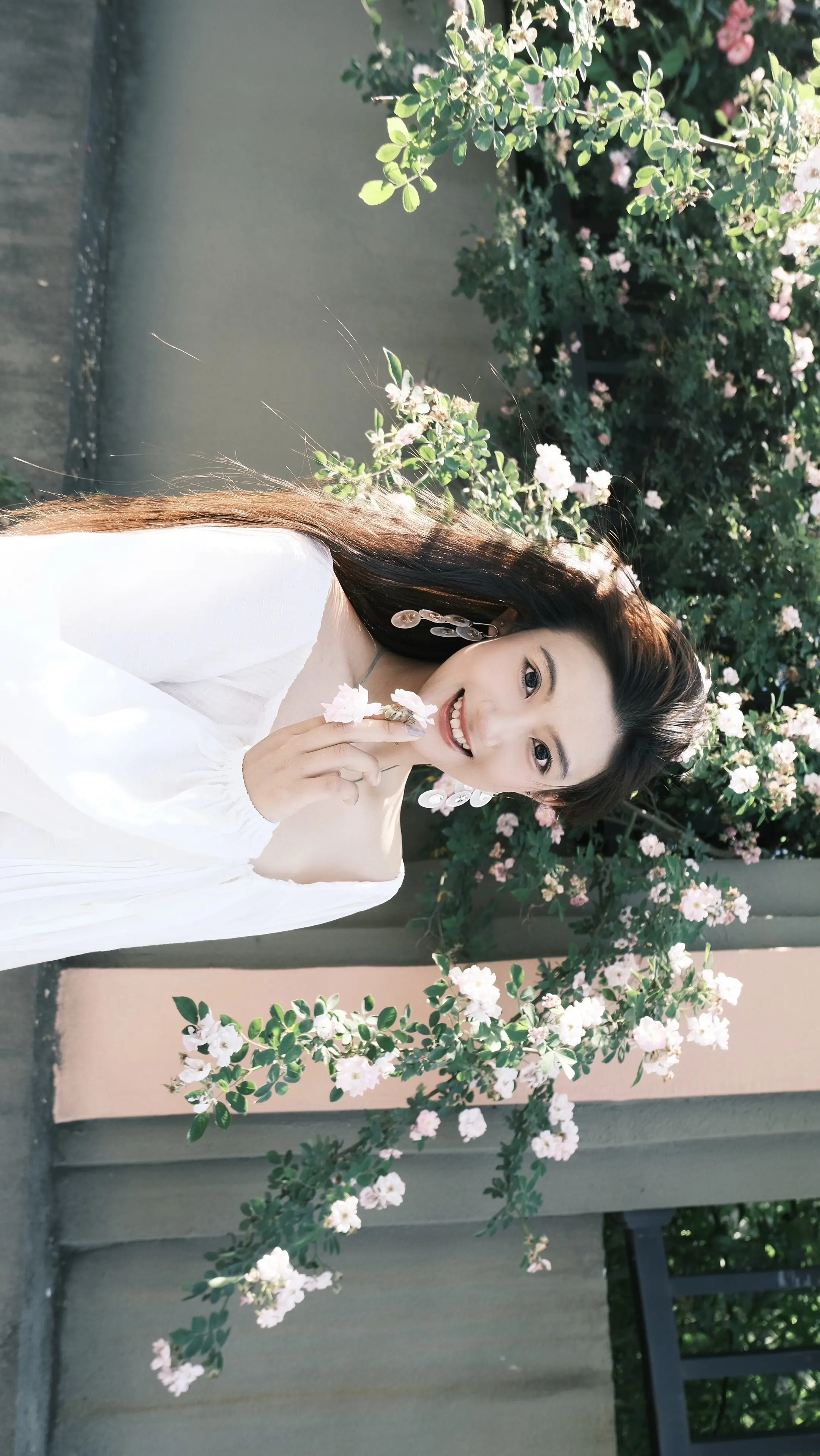 夏