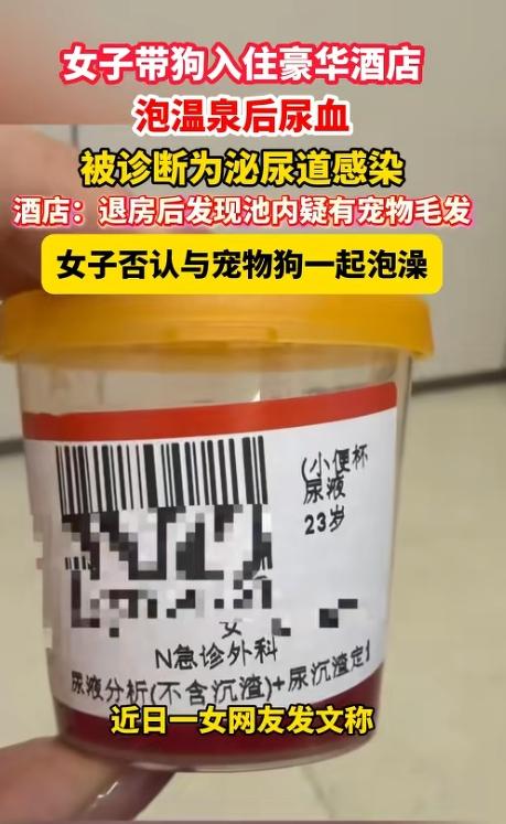 “严查到底！”近日，四川成都，一女子花费千元，带着狗住进一家豪华酒店，可女子在泡