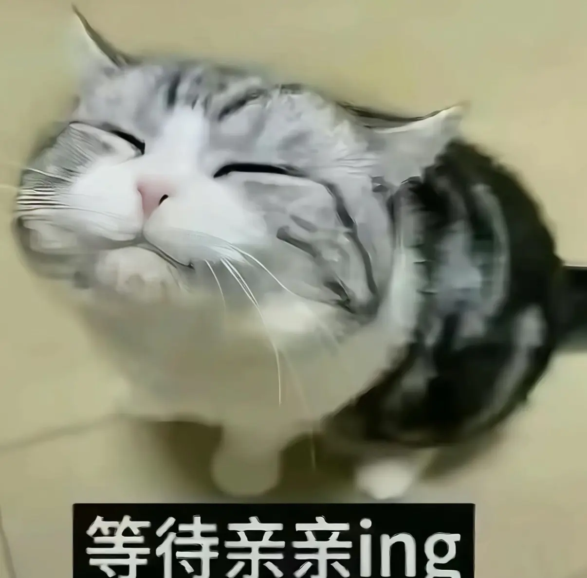等待亲亲ing.