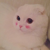 绿草润热逛体育